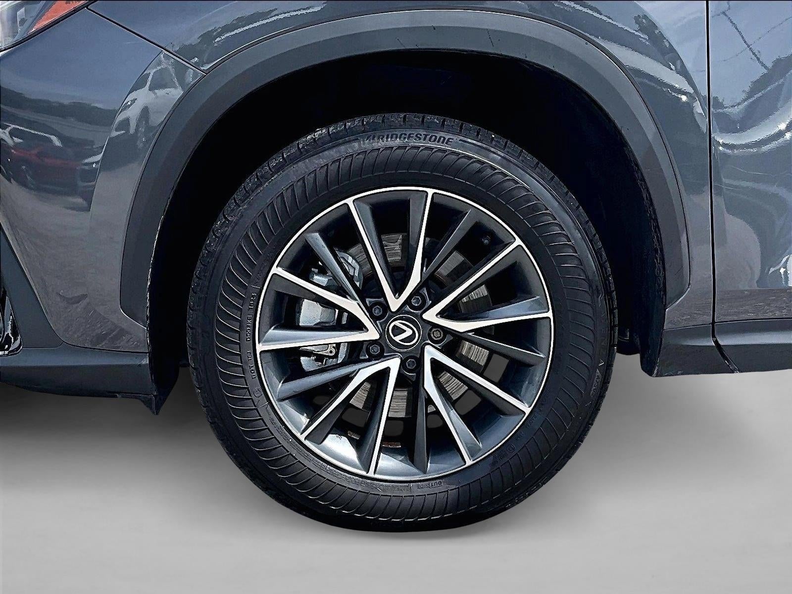 2025 Lexus NX 250 NX 250