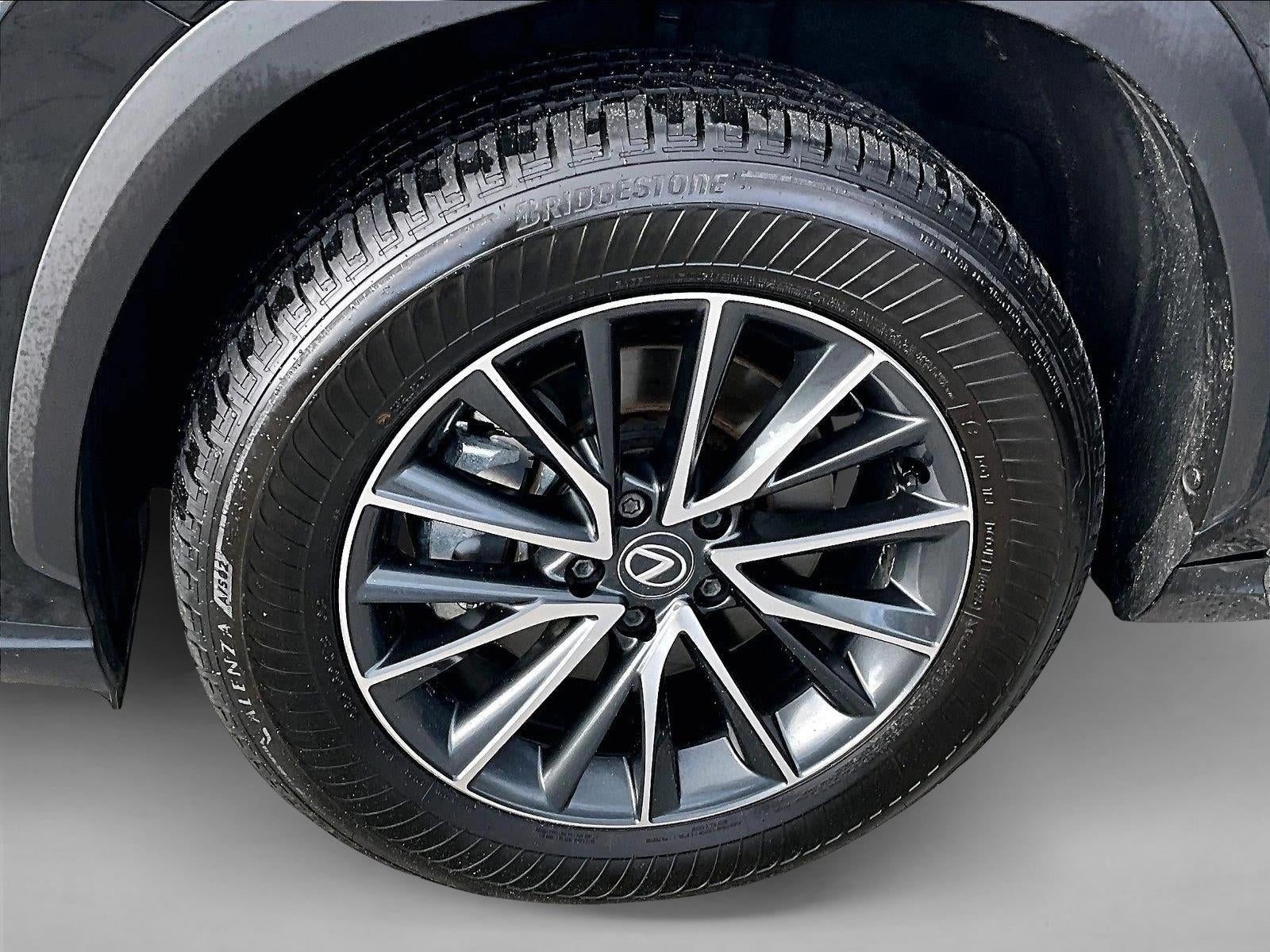 2025 Lexus NX 250 NX 250