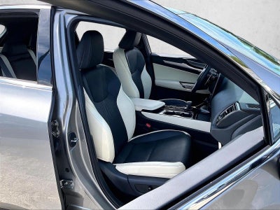 2024 Lexus NX 250 Premium