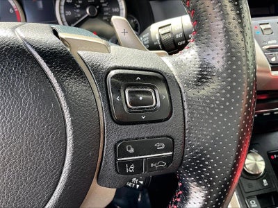2021 Lexus NX 300 F SPORT