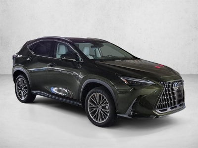 2026 Lexus NX 350 Luxury