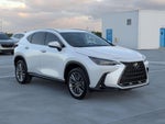 2023 Lexus NX NX 350h Premium