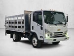 2023 Chevrolet Low Cab Forward 4500 1WT