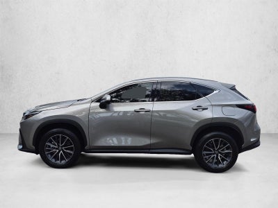 2026 Lexus NX AWD