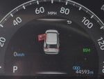 2025 Toyota RAV4 XLE FWD (Natl)
