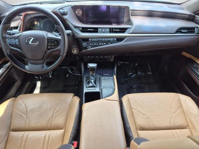 2019 Lexus ES 350 Luxury FWD