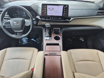2023 Toyota Sienna XLE FWD 8-Passenger (Natl)