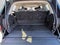 2025 Ford Expedition Active 4x4