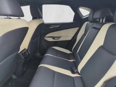 2024 Lexus NX 250 Premium FWD