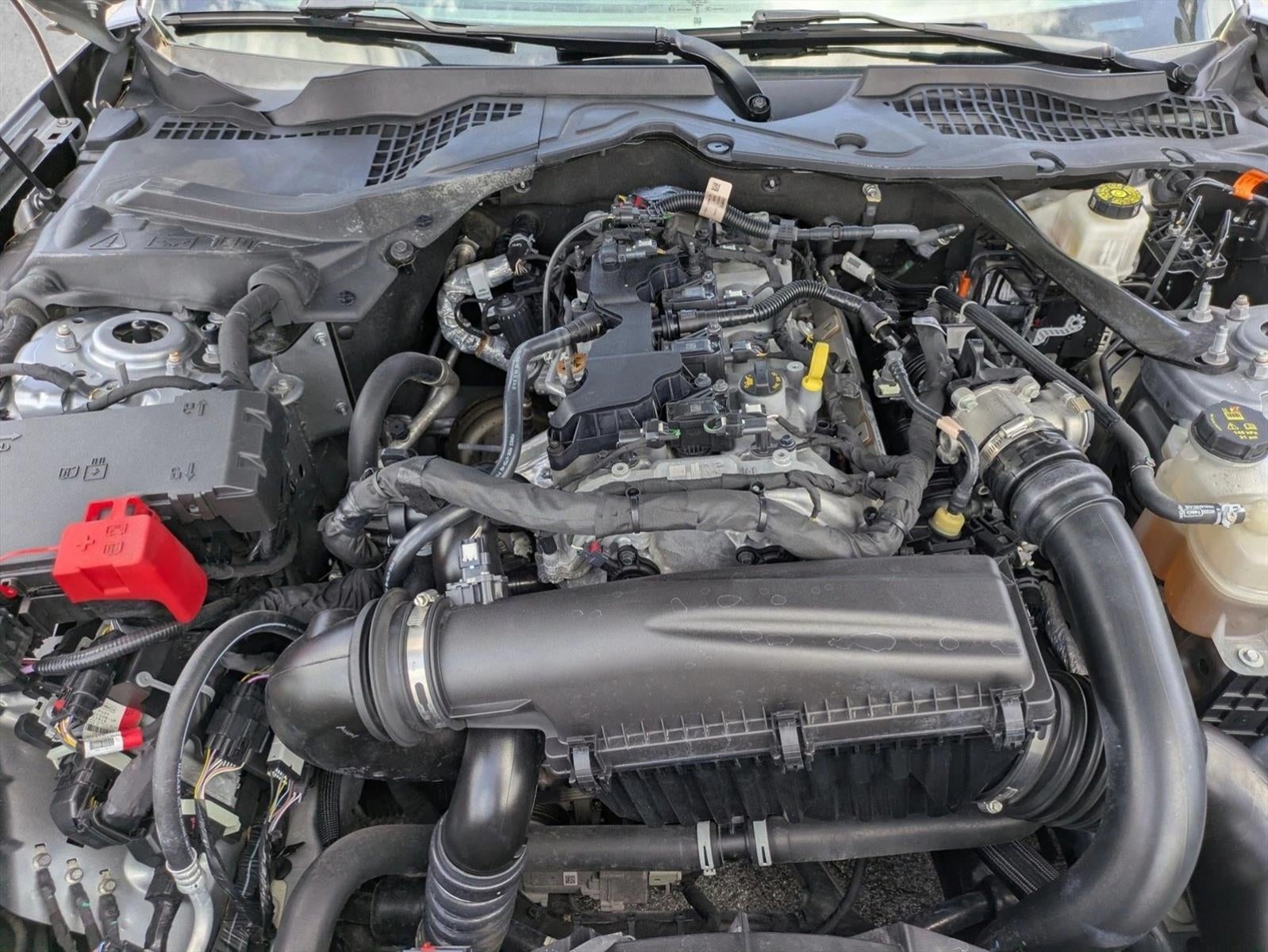 2024 Ford Mustang EcoBoost Premium Convertible