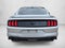 2019 Ford Mustang EcoBoost Fastback