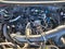 2020 Ford F-150 XL 2WD SuperCrew 5.5' Box
