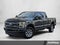2020 Ford Super Duty F-350 SRW Platinum 4WD Crew Cab 6.75' Box