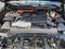 2025 Toyota Sequoia Limited 4WD (SE)