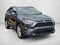 2019 Toyota RAV4 XLE Premium FWD (Natl)