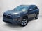 2020 Toyota RAV4 XLE AWD (Natl)