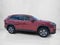 2024 Toyota RAV4 XLE FWD (Natl)