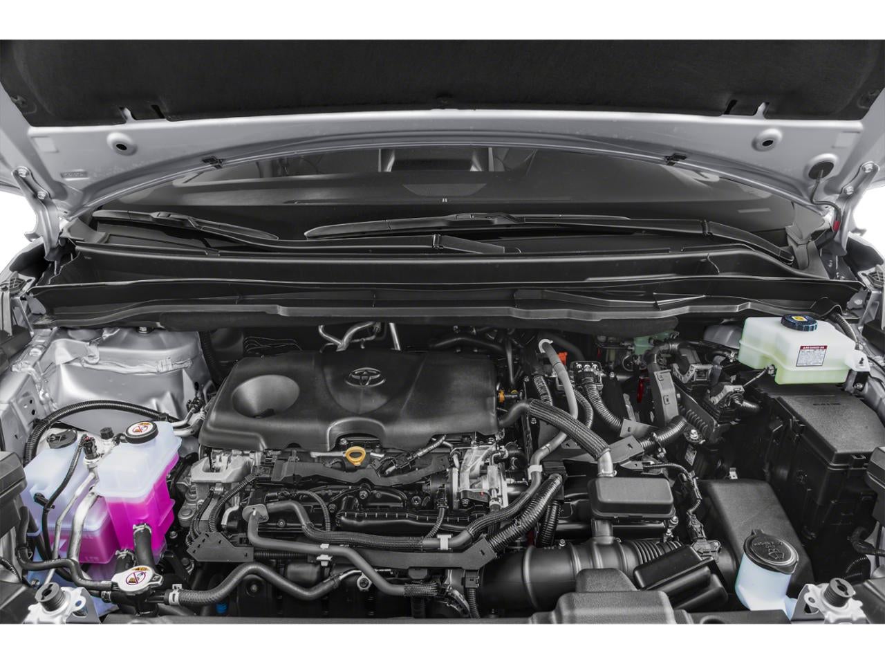 2022 Toyota Sienna XLE FWD 7-Passenger (Natl)