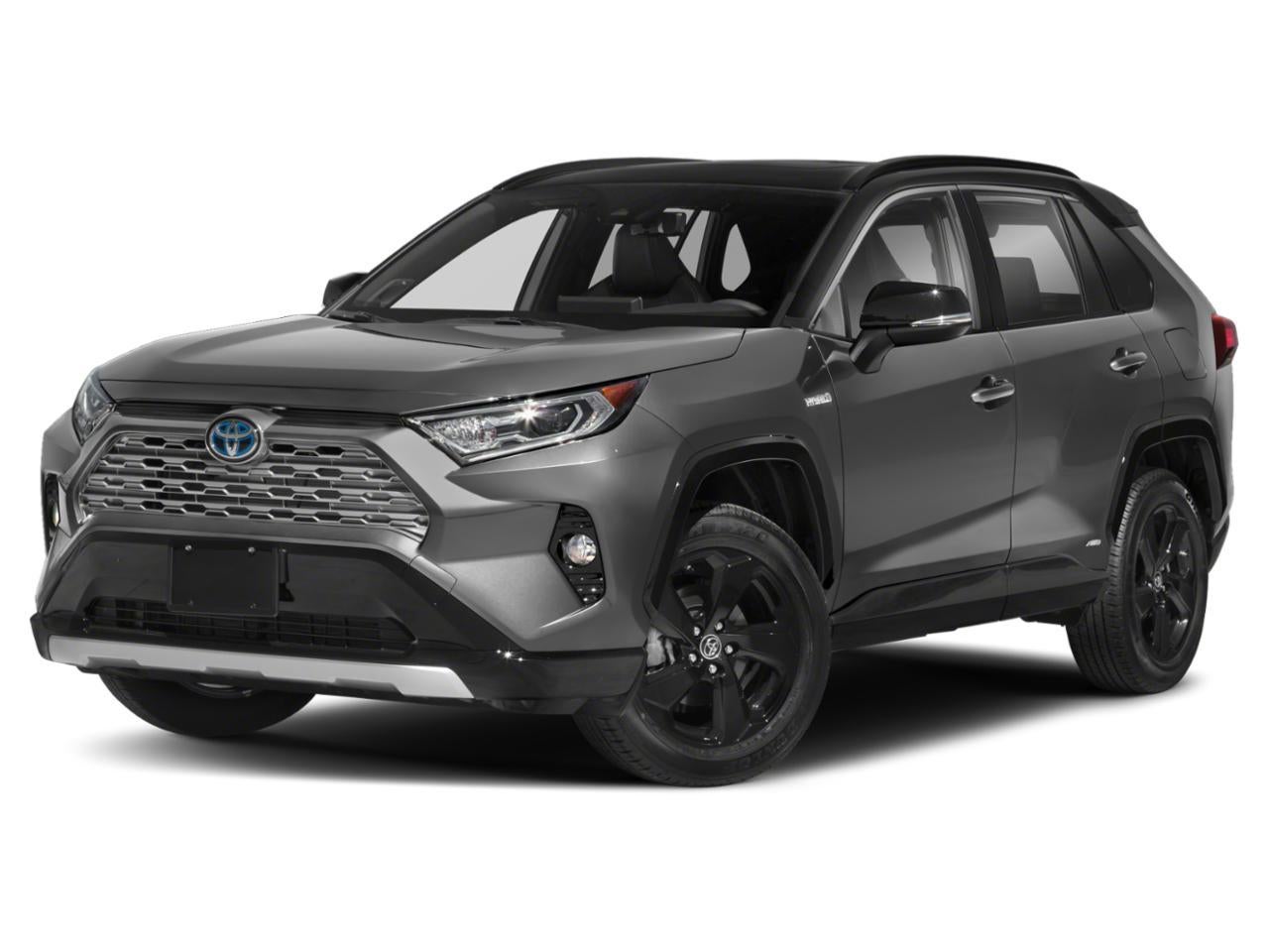 2019 Toyota RAV4 Hybrid XSE AWD (Natl)