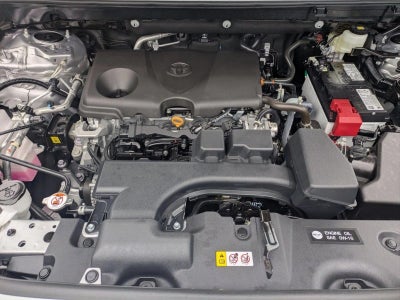 2025 Toyota RAV4 XLE FWD (GS)