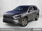 2024 Toyota RAV4 XLE FWD (Natl)