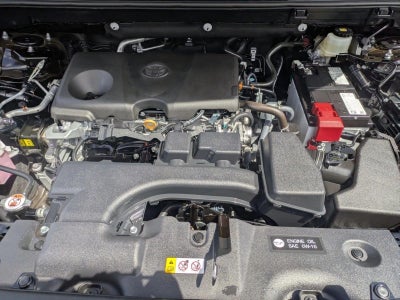 2025 Toyota RAV4 XLE FWD (GS)