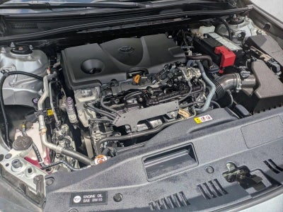 2023 Toyota Camry XLE Auto (SE)