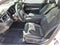 2023 Toyota Camry XLE Auto (SE)