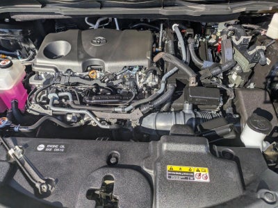 2025 Toyota Sienna LE FWD 8-Passenger (Natl)