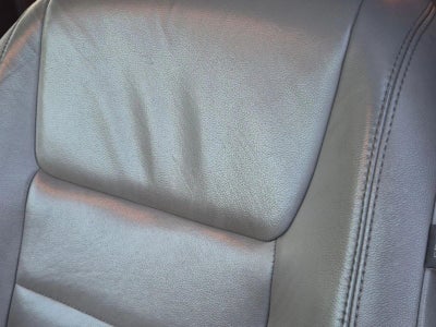 2019 Toyota Sienna XLE FWD 8-Passenger (Natl)