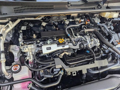 2024 Toyota Prius XLE (Natl)