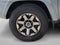 2023 Toyota 4Runner TRD Off Road Premium 4WD (Natl)