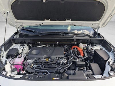 2025 Toyota RAV4 Hybrid XLE AWD (Natl)
