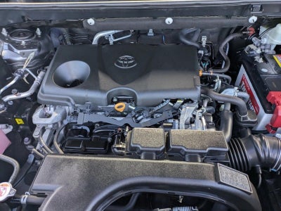 2021 Toyota RAV4 XLE AWD (Natl)