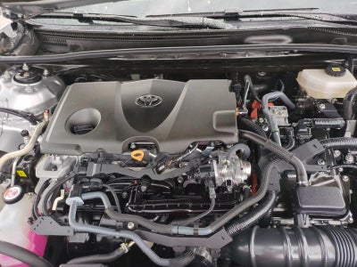 2025 Toyota Camry LE (Natl)