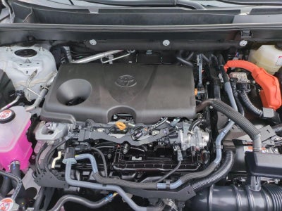 2025 Toyota RAV4 Hybrid XLE AWD (Natl)