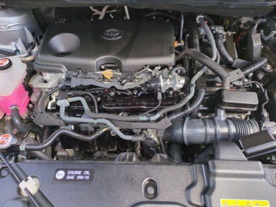 2024 Toyota Sienna XLE FWD 8-Passenger (Natl)