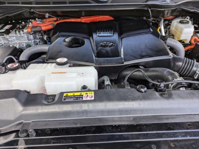 2024 Toyota Sequoia Platinum 4WD (Natl)