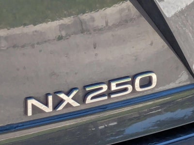 2024 Lexus NX 250 Premium FWD