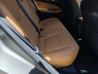 2025 Lexus NX 350 Premium AWD