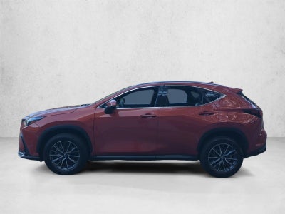 2023 Lexus NX 350 Premium AWD