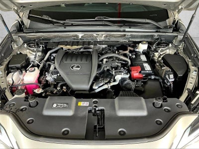 2023 Lexus NX 350 Premium AWD