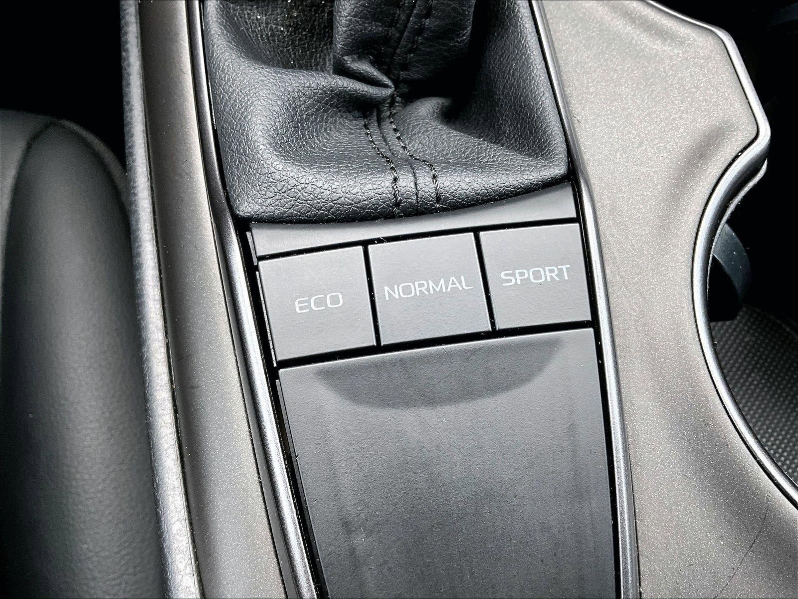 2023 Toyota Camry SE Auto (Natl)