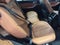 2022 BMW X7 xDrive40i Sports Activity Vehicle