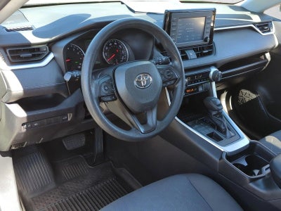 2019 Toyota RAV4 XLE AWD (Natl)