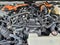 2026 Toyota Land Cruiser 4WD (Natl)