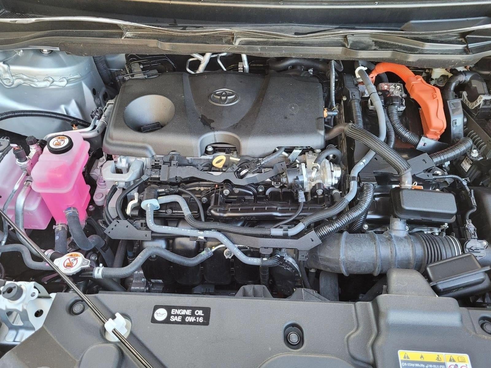 2023 Toyota Sienna Limited AWD 7-Passenger (Natl)